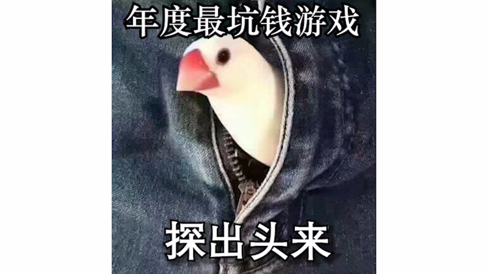 丢大包模拟器